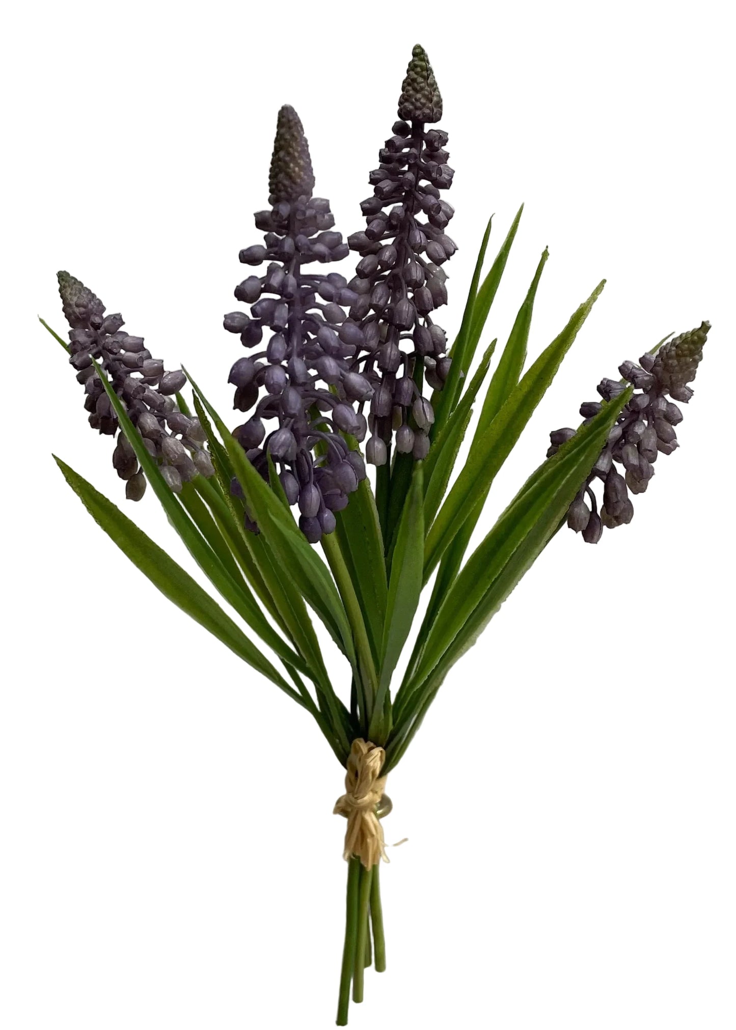 Lavender Muscari Bundle