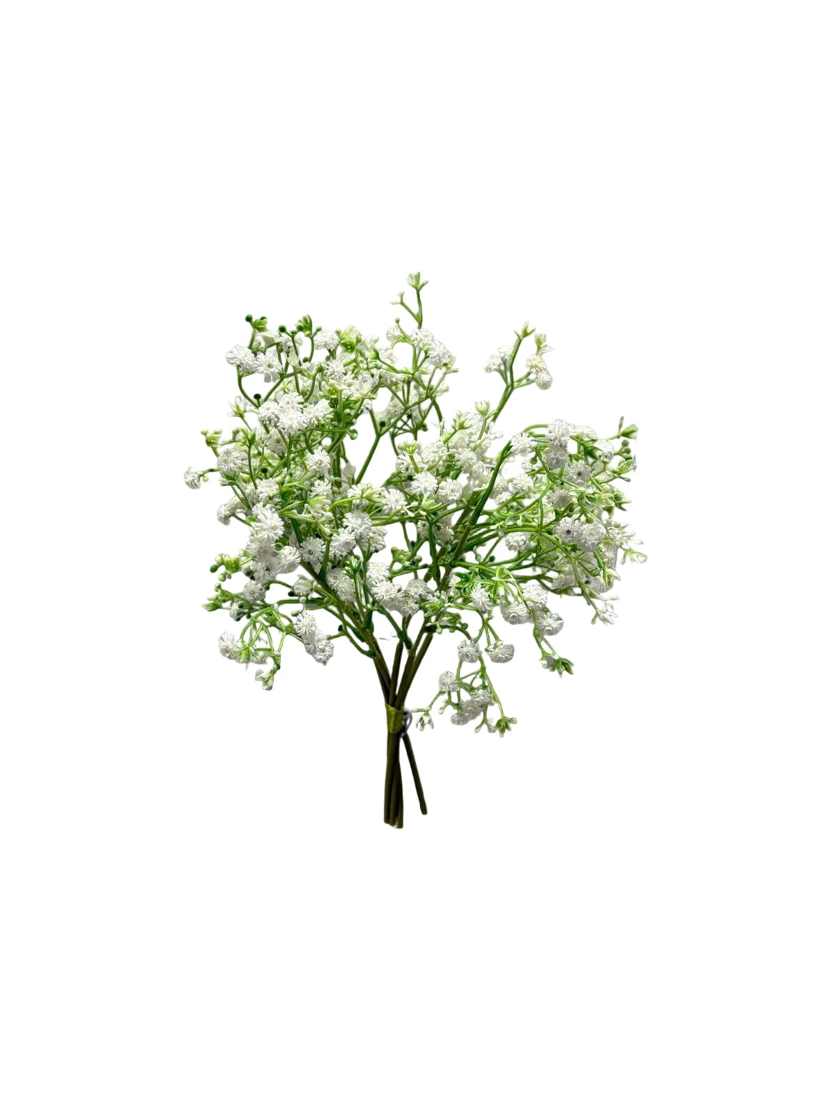 Baby's Breath stems