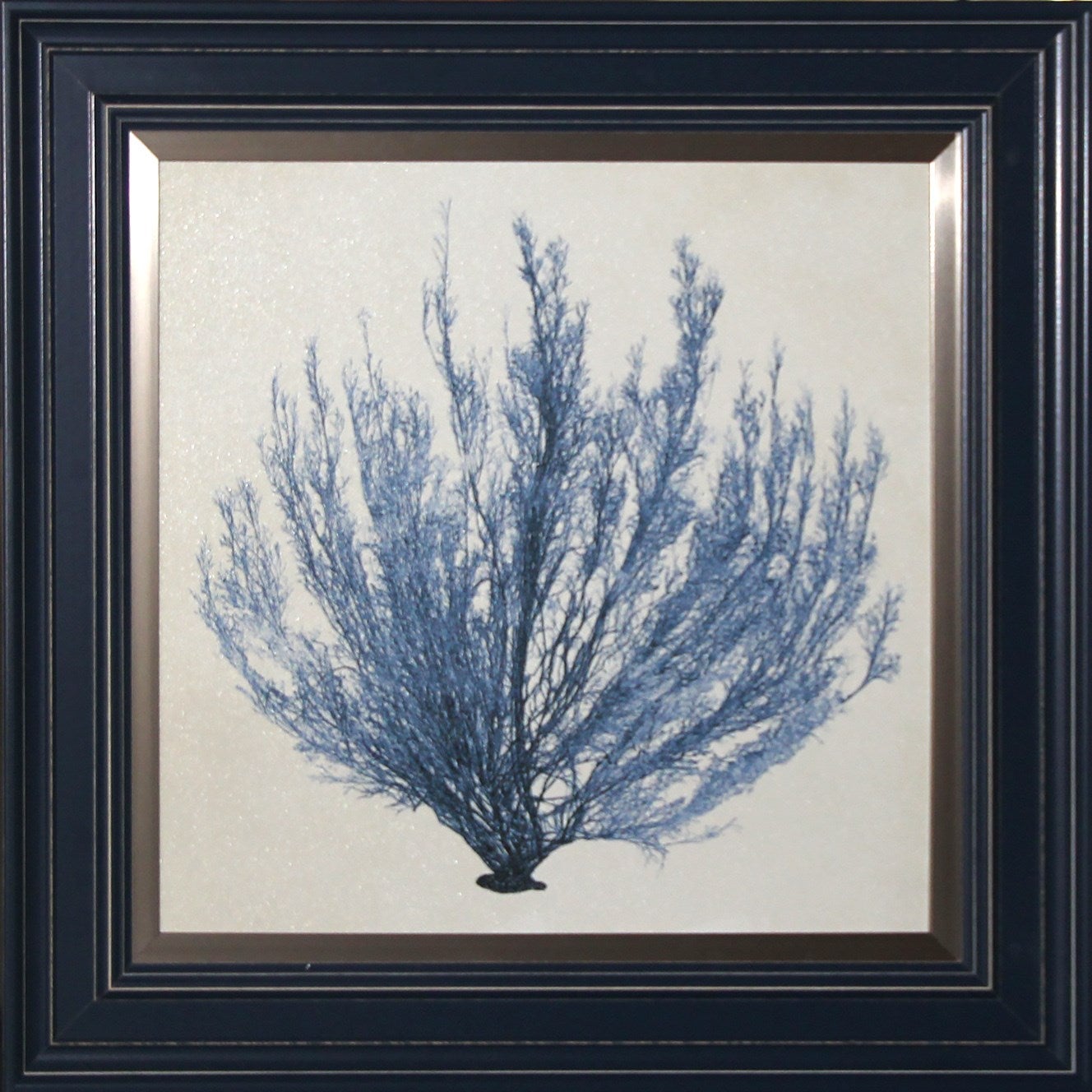 Coastal Blue Coral