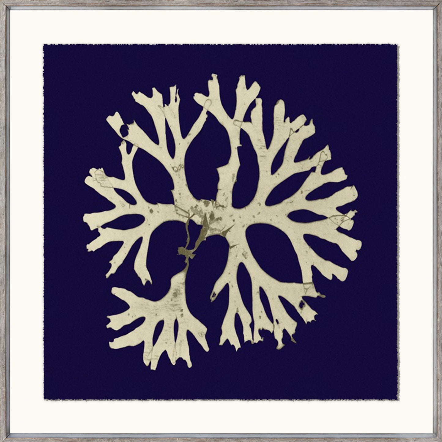 Seaweed Silhouettes on Navy 1 and 2