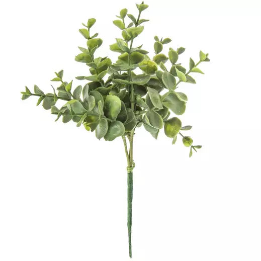 Seeded Eucalyptus Pick