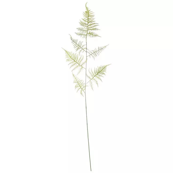 Fern Grass Spray