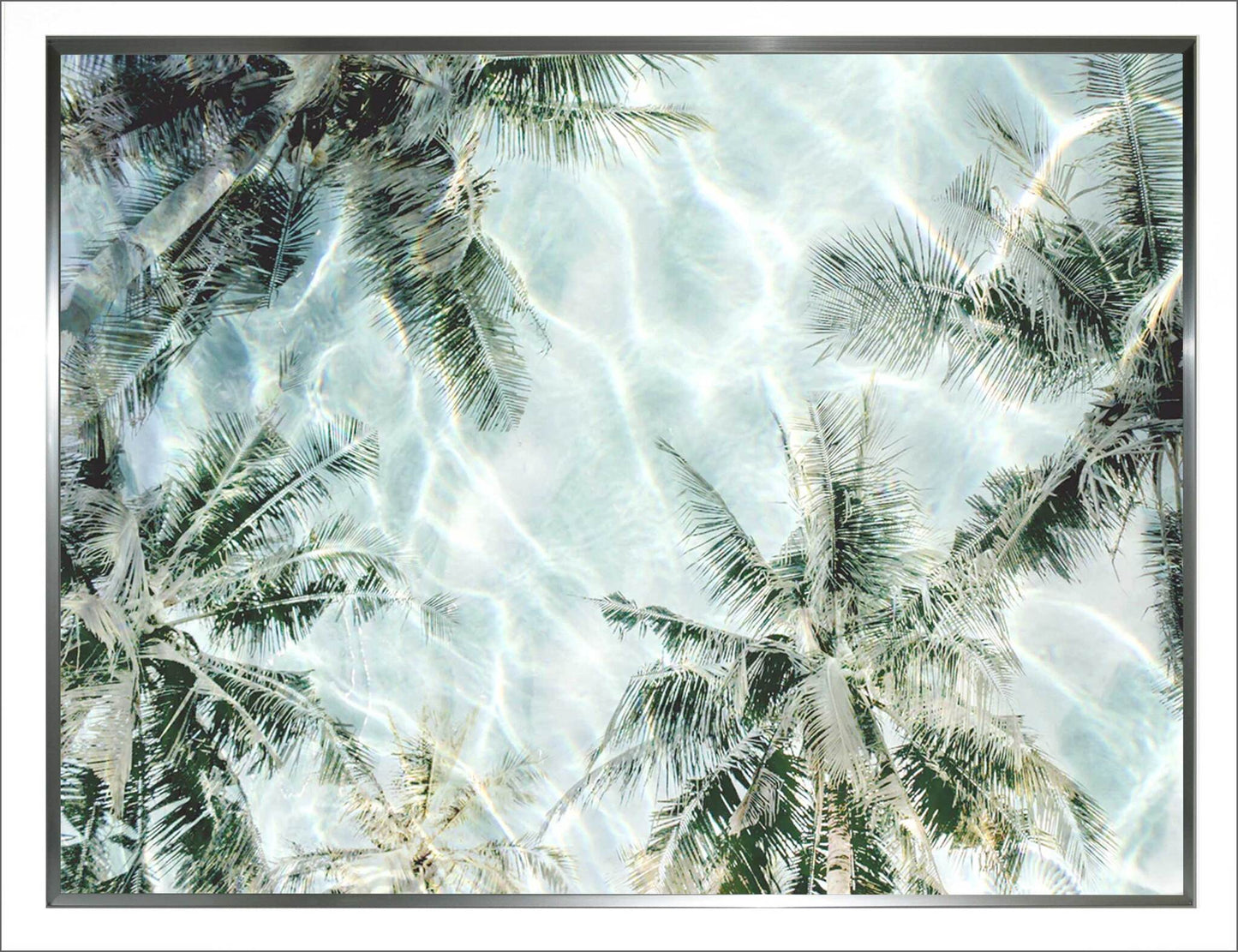 PALM Reflection Art 33x43
