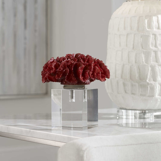 Rare Red Coral Cluster