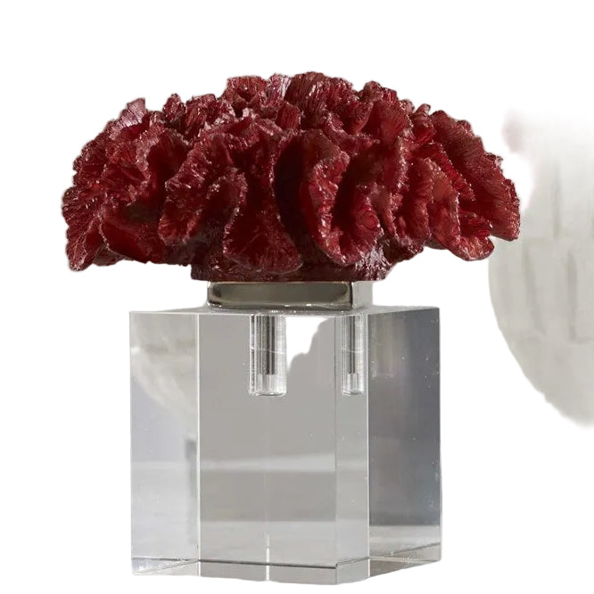 Rare Red Coral Cluster