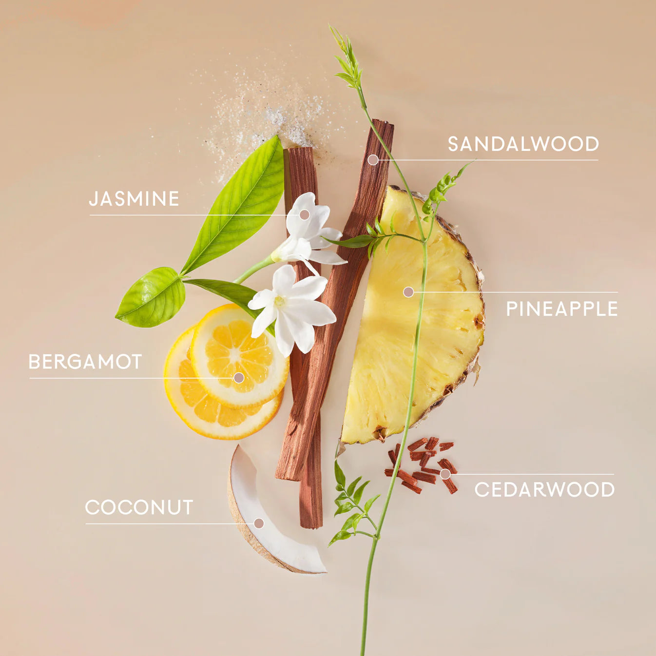 444 Sunkissed + Monoi Hair & Body Mist