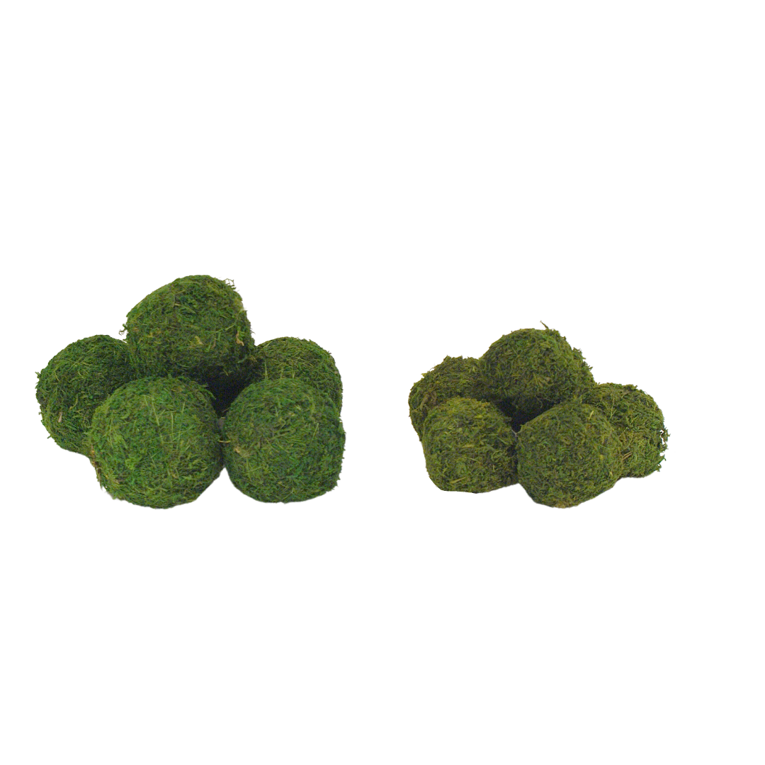 Moss Decorative Balls 3"