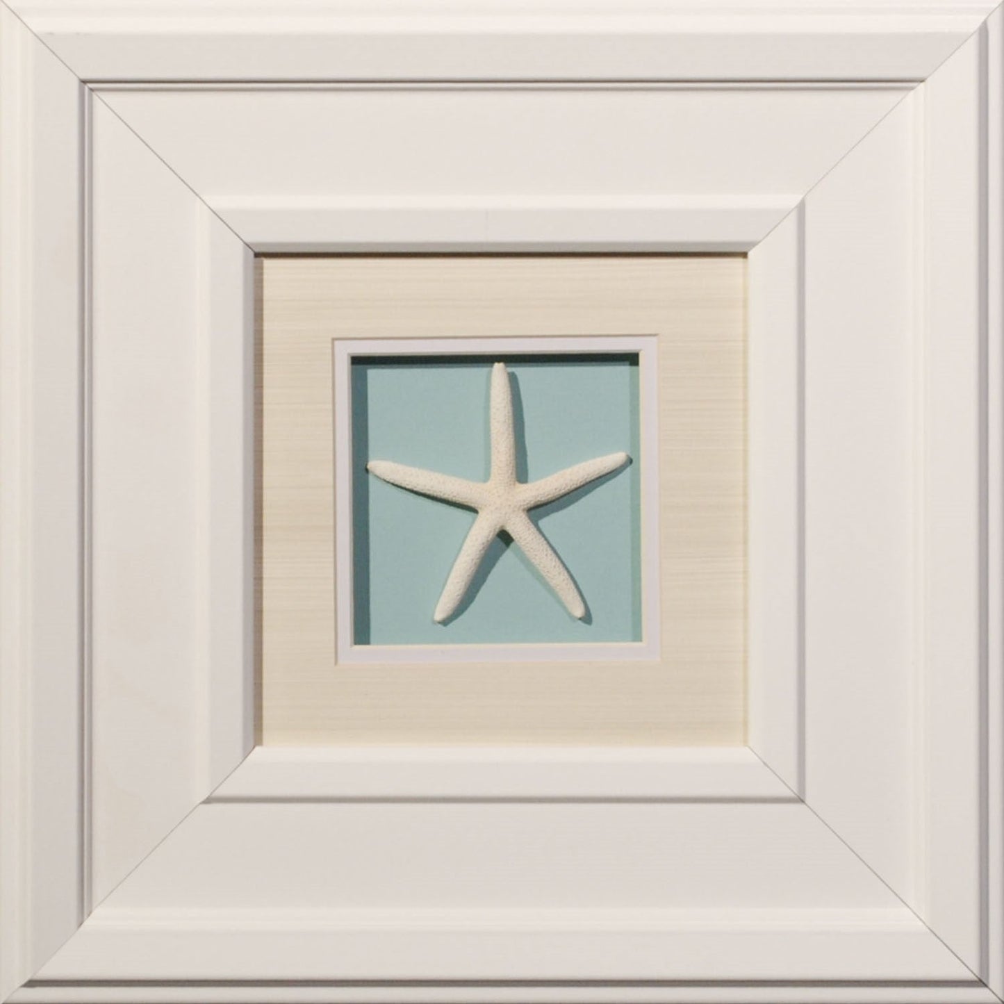 White Beveled Frame Matted with Glass