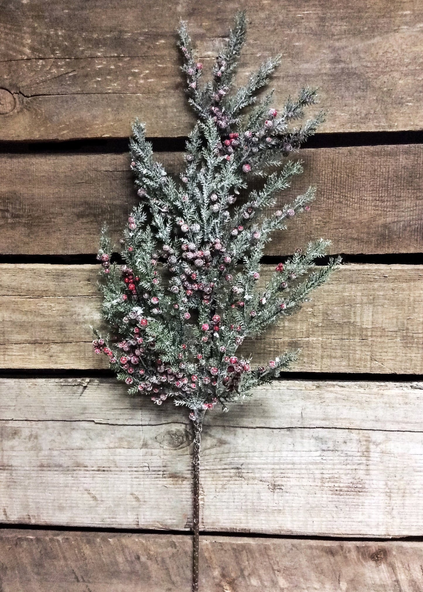 45" Cedar and Red Berry Hanging Spray