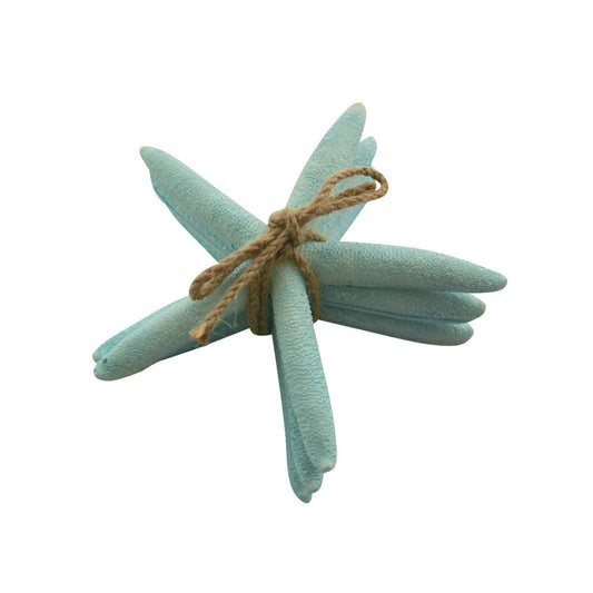 Starfish accents
