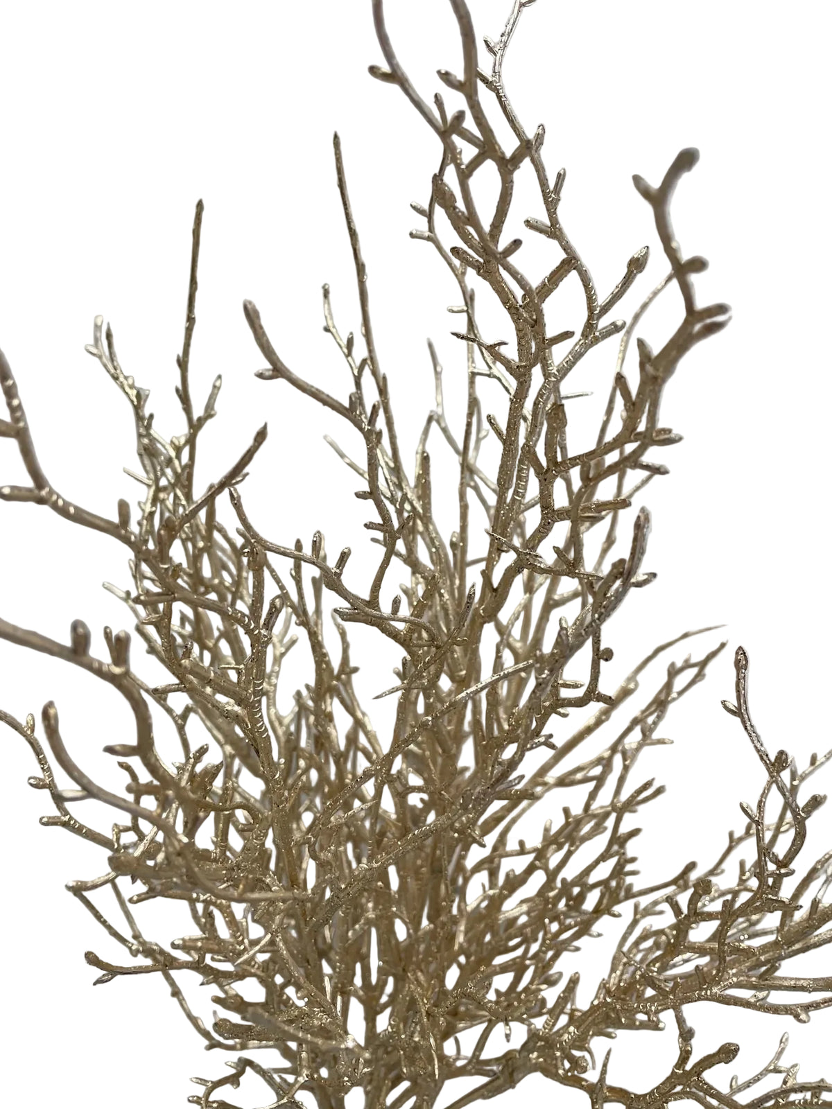 21" Champagne Twig Bush