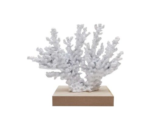 White coral