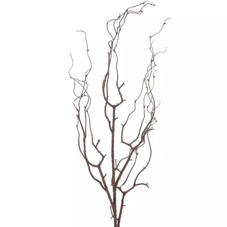 Brown Twig Stem