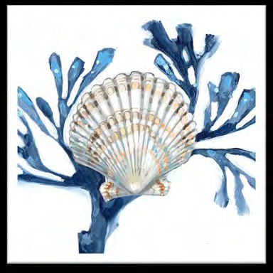 Blue Coral Custom Art