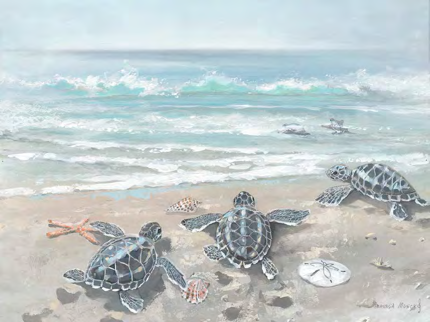 Baby sea turtle custom art 24 x 32