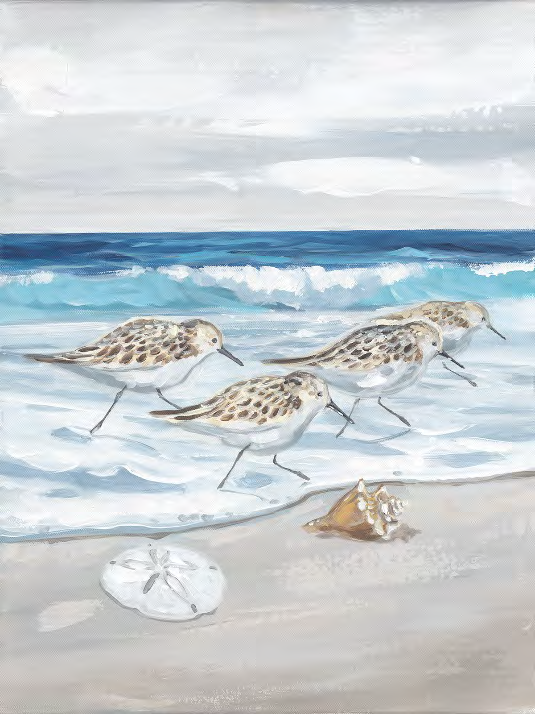 Sandpiper on the Beach Custom Art