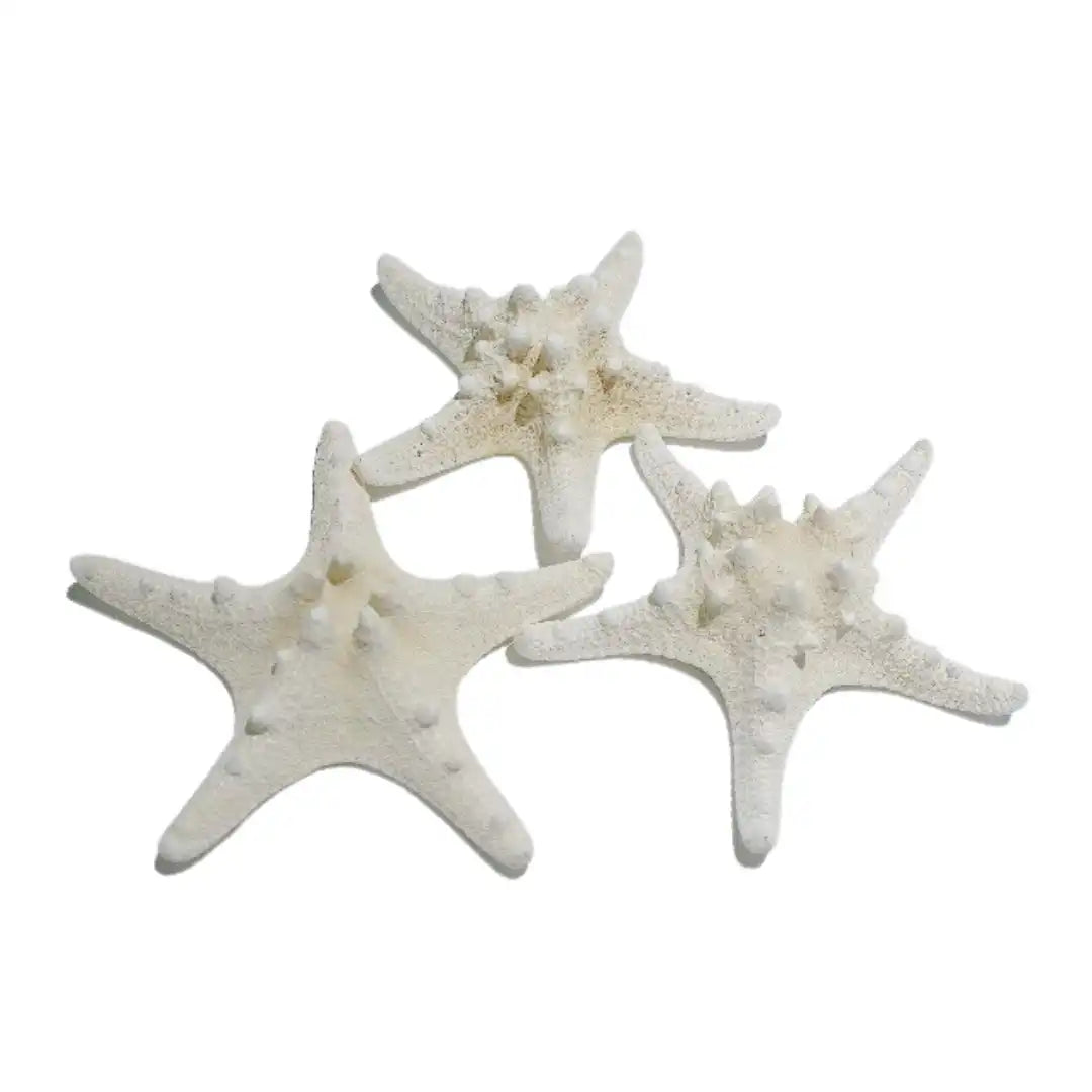 Ceramic Starfish