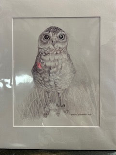 BURROWING OWL