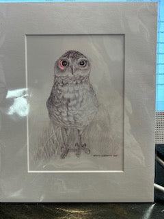 BURROWING OWL