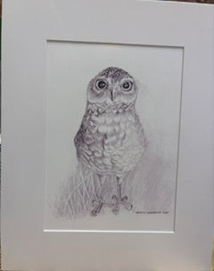 Burrowing Owl Print
