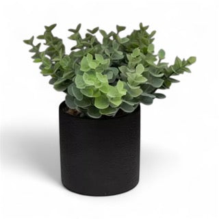 Greenery Potted Plant