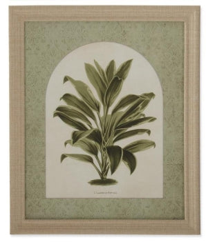 Tropical Plant Print w/ Burlap Wrapped Frame