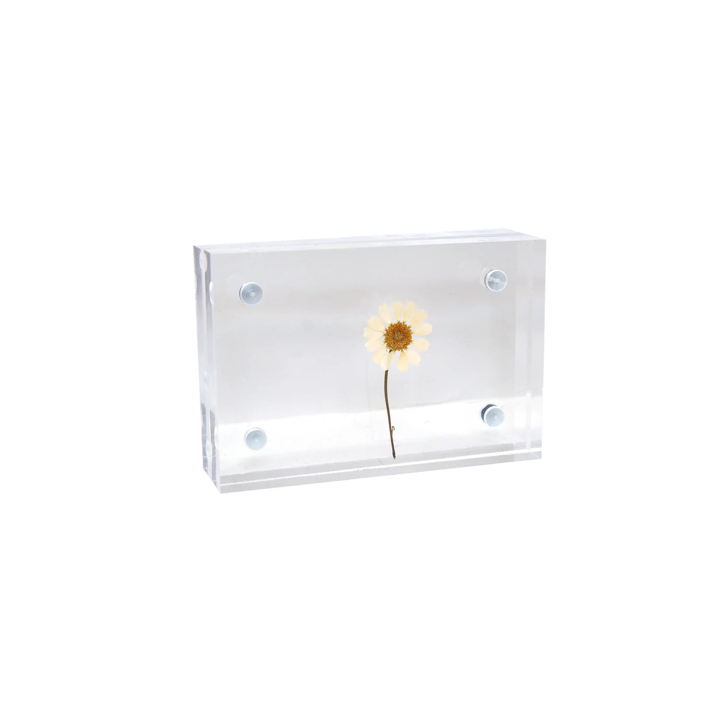 Acrylic Standing Frame- 4"x6"