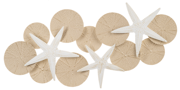 Layered Starfish and Sand Dollar Wall Decor