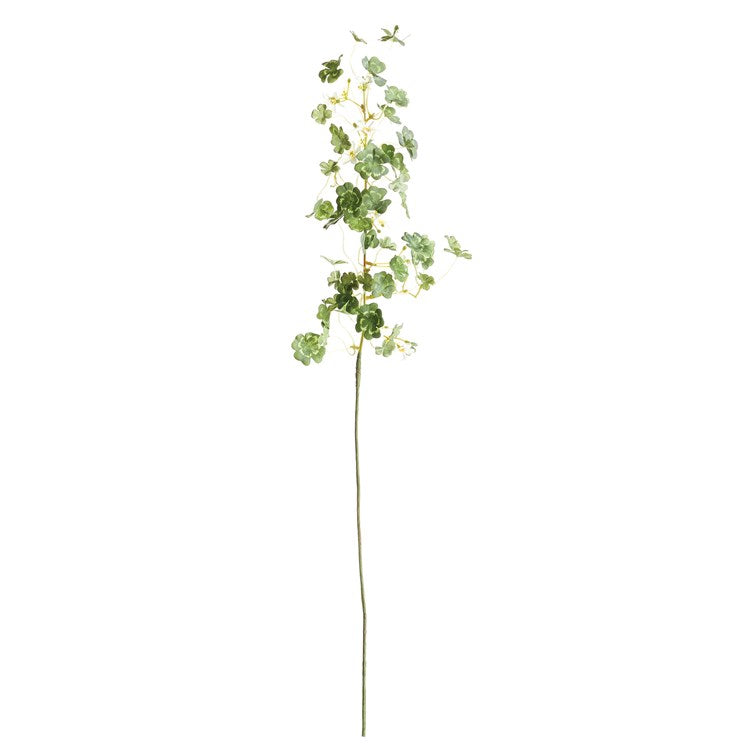 Clover Stem 26"
