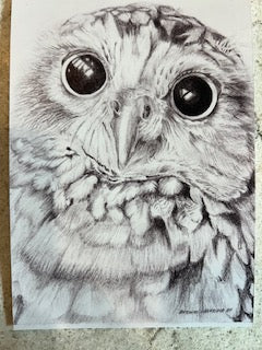 Burrowing owl