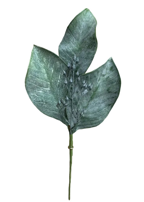Dusted Magnolia Spray
