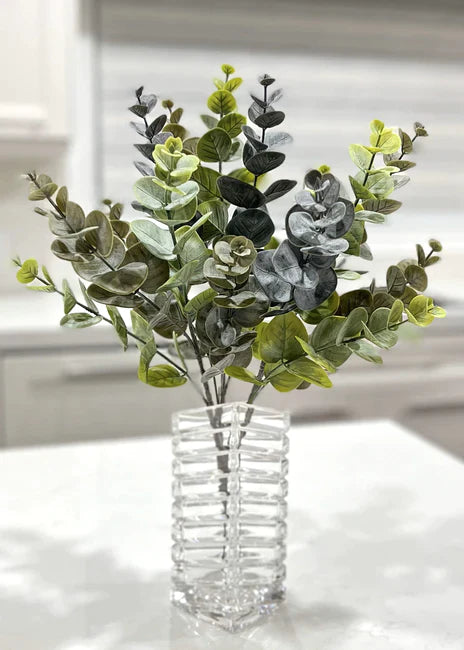 Large Green Eucalyptus Bush