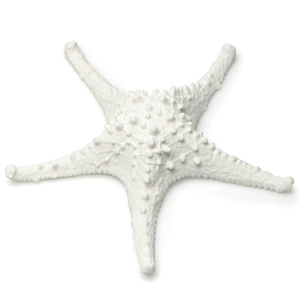 Starfish