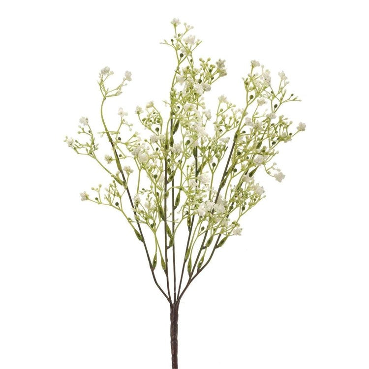 Babys Breath White