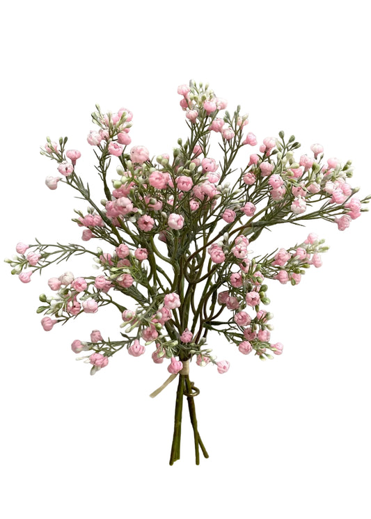 Baby's Breath stems