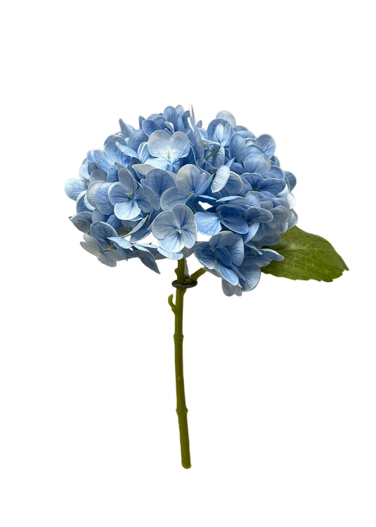 Light Blue Fresh Touch Hydrangea