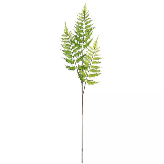 Fern Spray