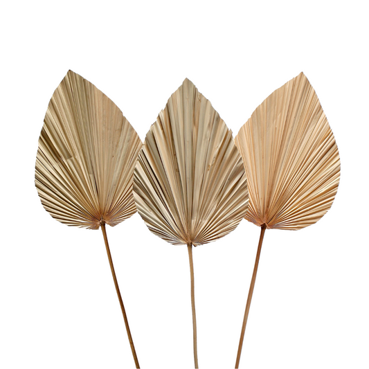 Anahaw Leaf Stems
