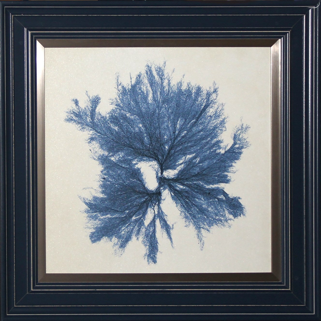 Coastal Blue Coral