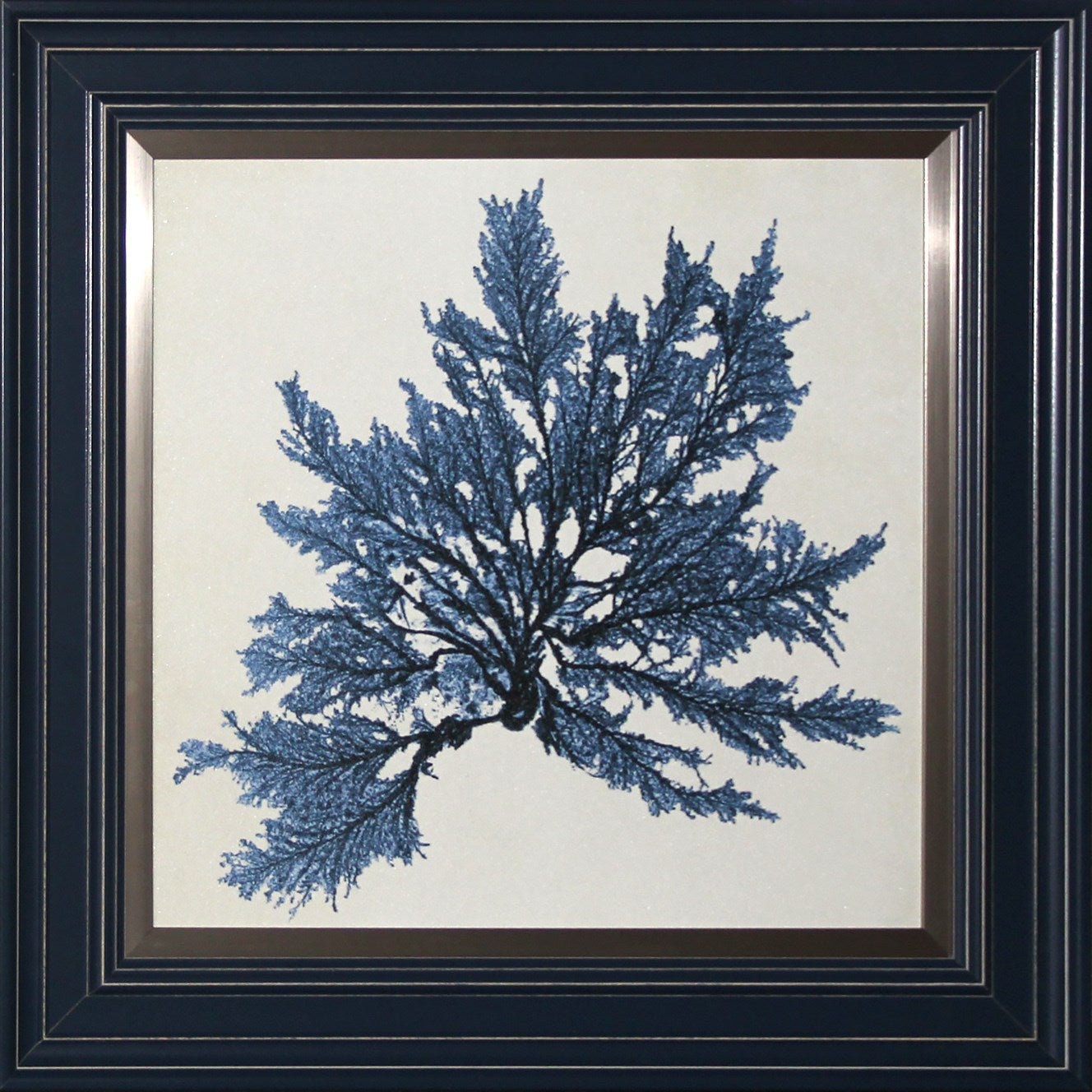 Coastal Blue Coral