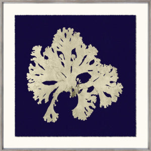 Seaweed Silhouettes on Navy 1 and 2