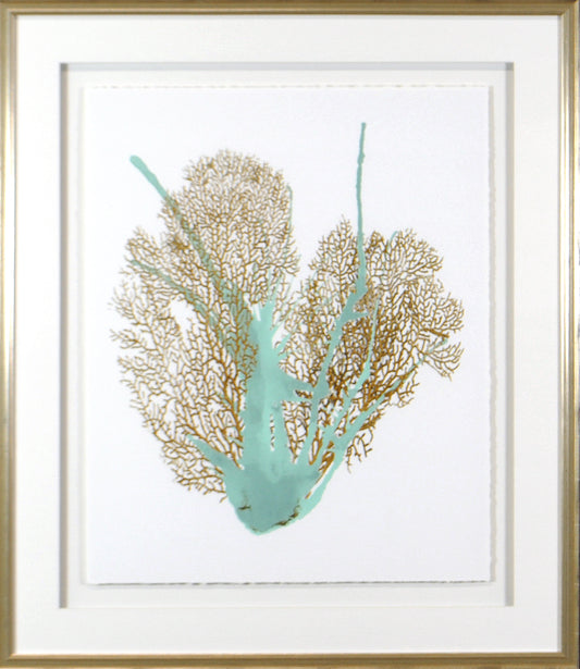 Spa Coral 1