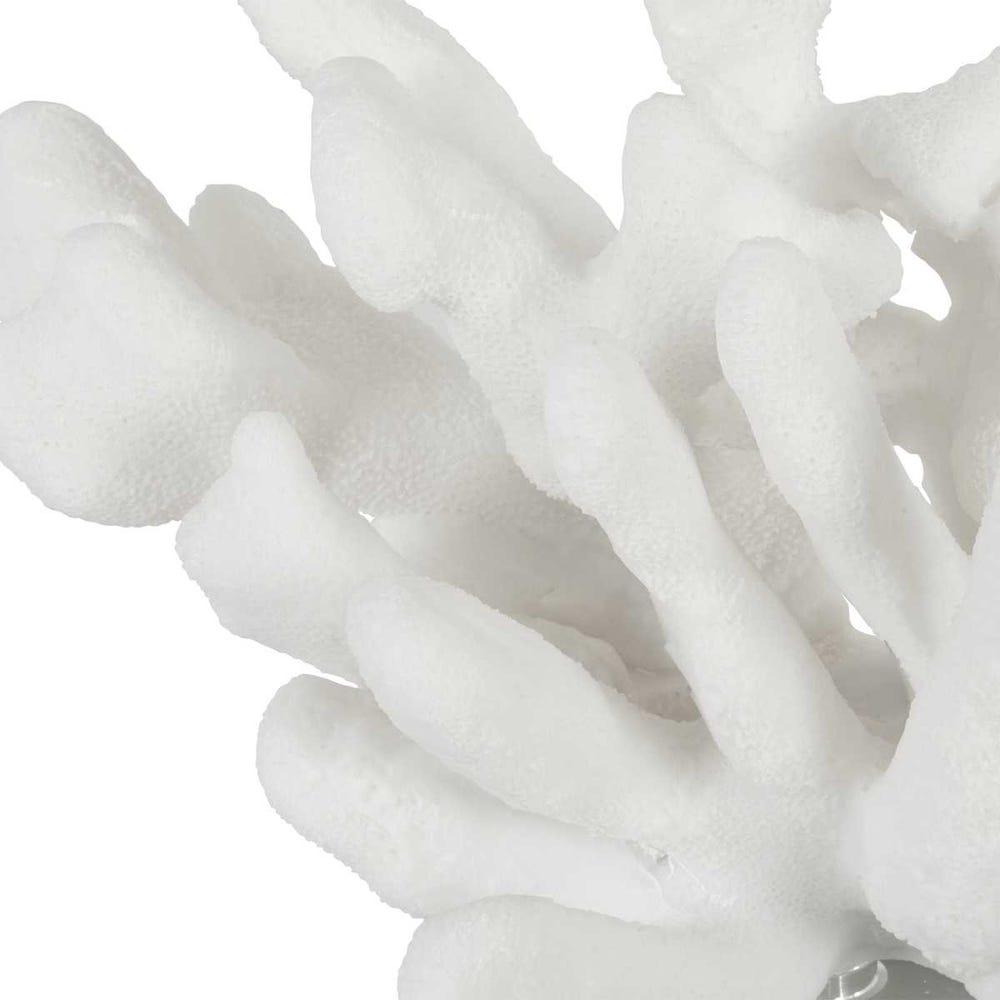 Charbel Coral Bookends