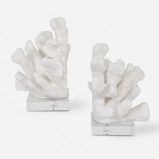 Charbel Coral Bookends