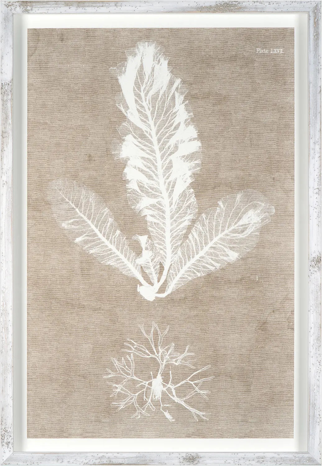 Nature Printed On Linen I