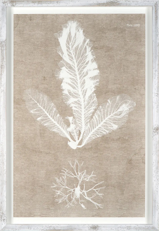 Nature Printed On Linen I