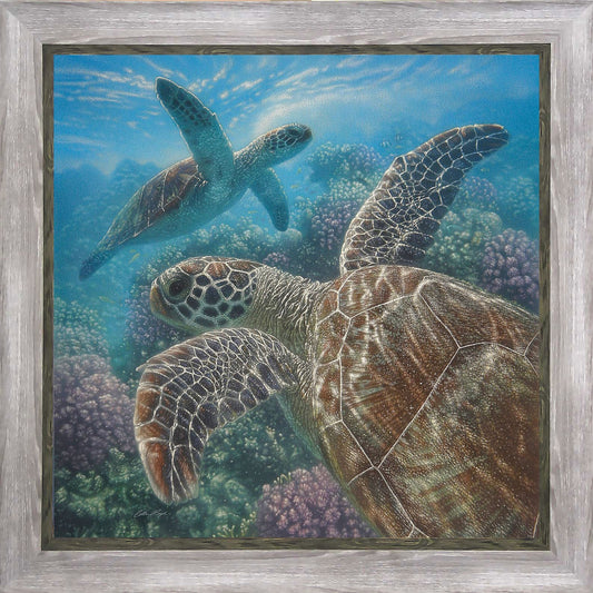 Two Turtles Underwater Art 44x44