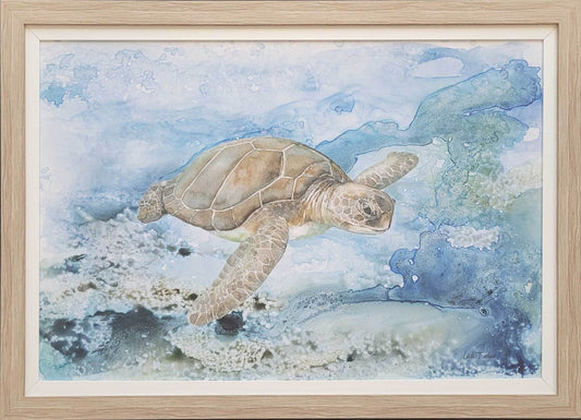 Swimming Turtle