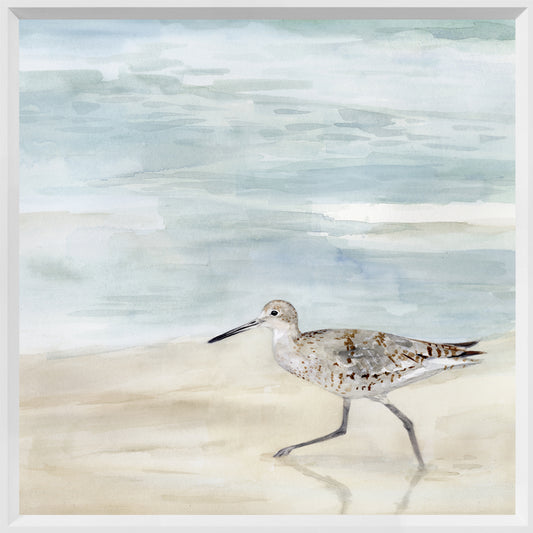 Speckled Willet ll