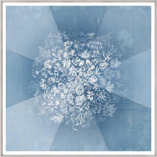 Sea Tangle 41 × 41 in
